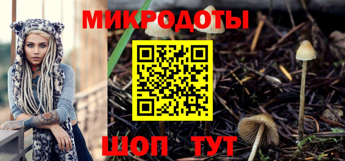 Галлюциногенные грибы прущие грибы  Вход с VPN  Галлюциногенные грибы ЛСД  Железноводск 